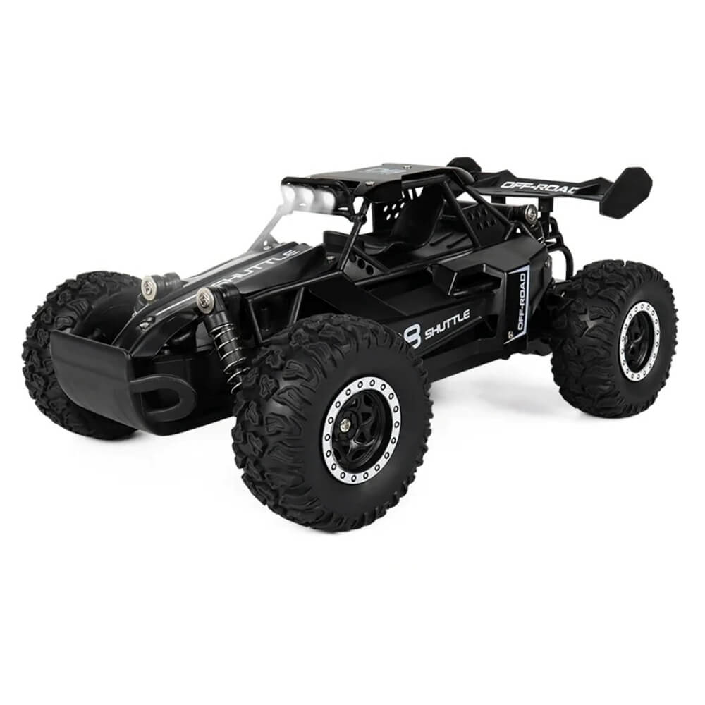 Alloy 1/16 20Kmh RC Rally Car