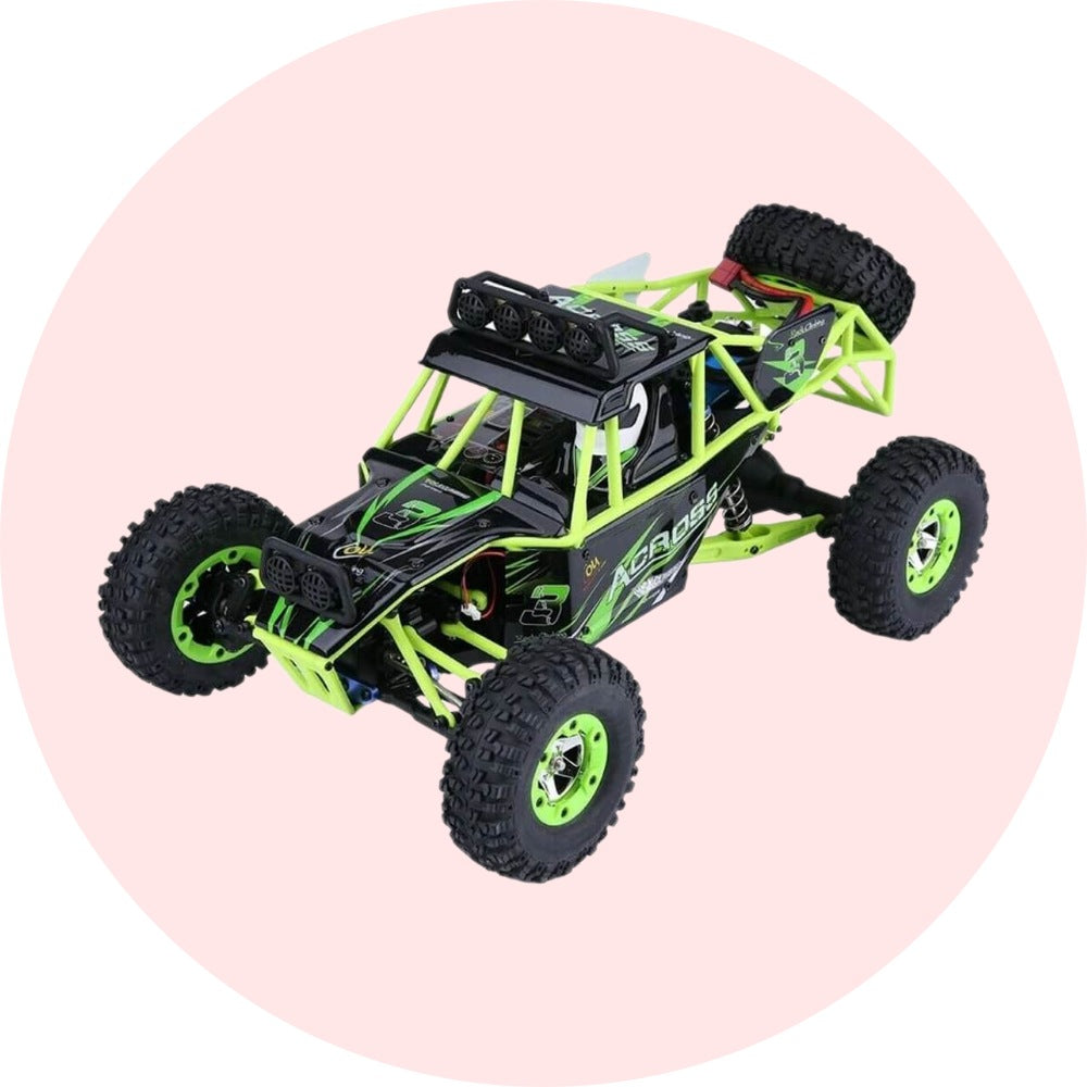 RC Fleet